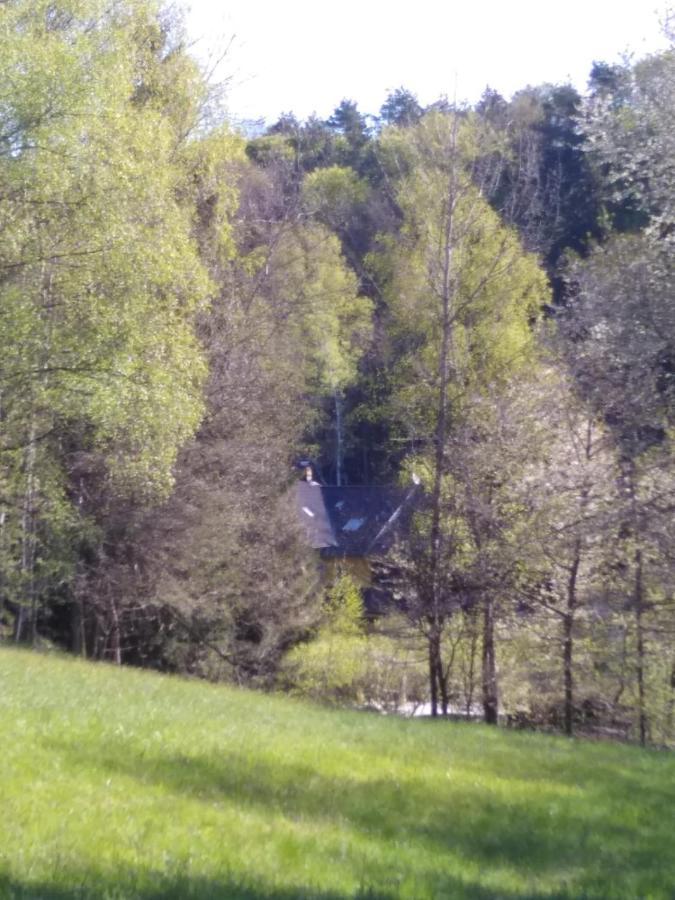 Urlaubspension Die Muehle Schollnach Exterior photo